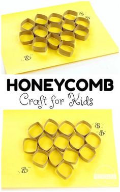 honeycomb craft for kids made out of paper and rolled up to look like an egg carton