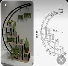 an image of a shelf with plants and potted plants on it next to a drawing of a plant stand