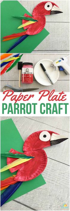 paper plate parrot craft for kids to make