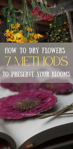 two pictures, one of flowers hanging to dry, and one of pressed zinnia flowers How To Dry Out Flowers, Perserving Flowers, Freeze Dried Flowers, Diy Dried Flower Arrangement, How To Dry Flowers, Preserve Flowers, Drying Flowers, Dried Flowers Diy