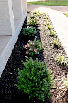 some bushes and flowers in front of a building