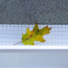 a yellow leaf laying on top of a white tile floor next to a window sill