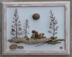 some rocks and plants in a white frame