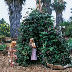 A Vine-Covered Tepee | Create your own secret hideaway Garden Vines, Genius Ideas, Children's Garden, Modern Backyard, Backyard Retreat, Parts Of A Plant, Backyard Projects, Community Gardening