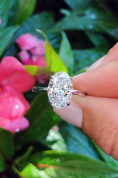 a woman's hand holding a diamond ring in front of pink flowers and greenery