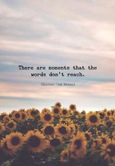 there are moments that the word's don't reach sunflowers and roses