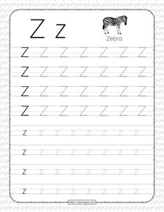 the letter z worksheet for children to practice handwriting and writing with zebras