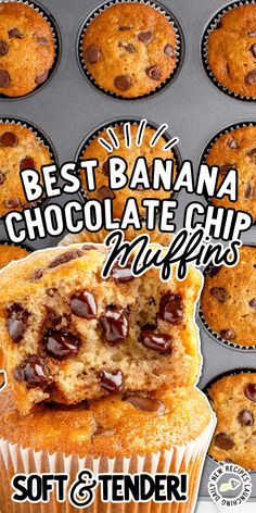 the best banana chocolate chip muffins soft & tender are ready to be eaten