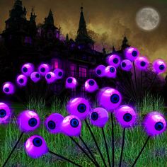 purple flowers in front of a castle at night