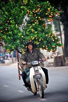 a man riding on the back of a scooter down a street next to an orange tree