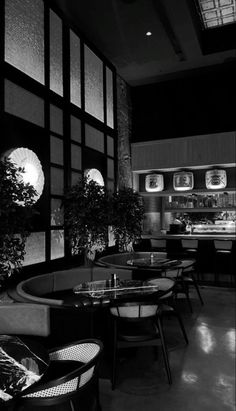 black and white photograph of tables in front of large windows with potted plants on them