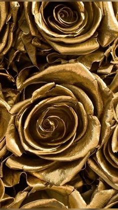 a close up view of gold foiled roses