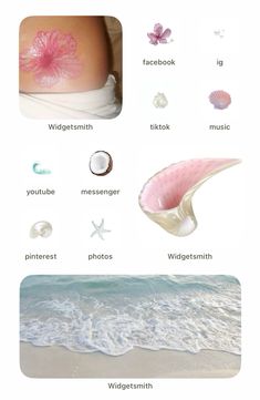 the different types of sea shells are shown in this image, including pink and white