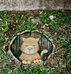 an orange cat sitting in a hole on the ground next to some grass and rocks