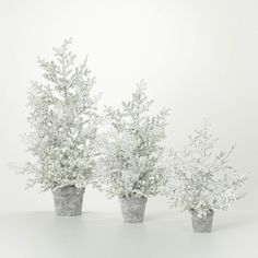 three silver vases with white flowers in them