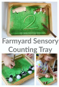 the farmyard sensory counting tray is filled with green grass