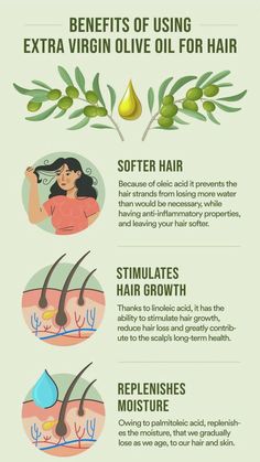 Olive oil benefits for hairs Olive Oil On Hair Benefits, Walnut Oil Benefits Hair, Benefits Of Olive Oil For Hair, Safflower Oil Benefits Hair, Sweet Almond Oil Benefits Hair, Grapeseed Oil Benefits Hair, Olive Oil Hair Benefits, Olive Oil On Hair, Olive Oil In Hair