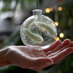 a hand holding a glass ornament with white feathers