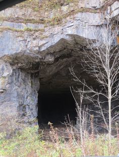 a cave entrance with trees and bushes in the foreground