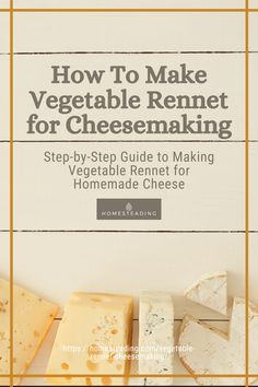 how to make vegetable rennet for cheesemaking step - by - step guide to making vegetable reinet for homemade cheese