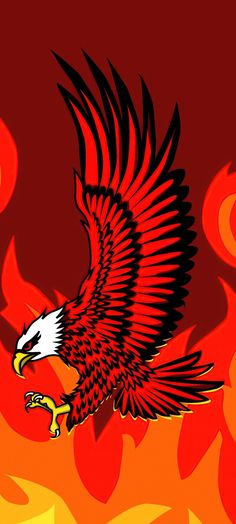 an eagle flying through the air with red and yellow flames in the backgroud