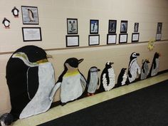 several stuffed penguins lined up on the floor in front of pictures and framed photos,