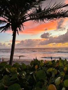 Sunrise in Boca Raton, Florida Florida Vision Board, South Florida Aesthetic, 30a Florida Aesthetic, Vintage Florida Aesthetic, Florida Aesthetic, Boca Raton Florida