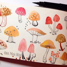 an open notebook with watercolor mushrooms and writing on the cover, which reads oh man way