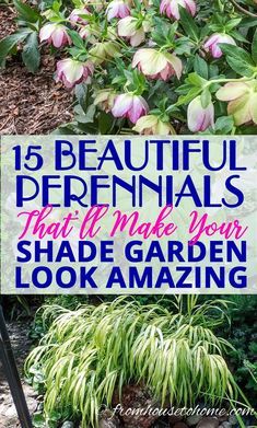 a sign that says 15 beautiful perennials that can make your shade garden look amazing