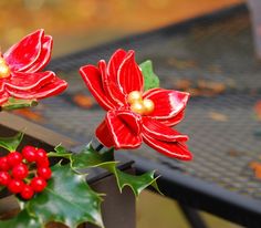 two red flowers with green leaves on a table