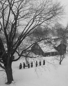 a group of people standing in the snow next to a large tree and some houses