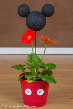 a potted plant with mickey mouse ears on top and flowers in the bottom,