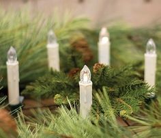 some white candles sitting on top of a pine tree