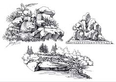 four different types of rocks and plants