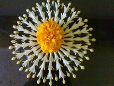 a yellow and white flower is shown from above