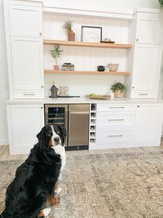 a black and white dog sitting in the middle of a kitchen