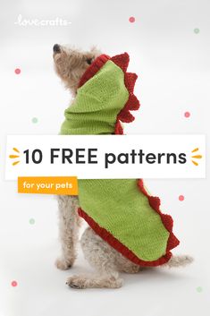 a small dog wearing a green and red sweater with the words 10 free patterns for your pets