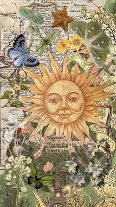 the sun is surrounded by flowers, butterflies and other things that are in front of it