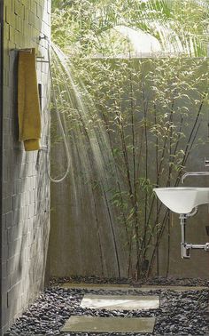 a bathroom with a shower, sink and bamboo trees