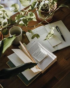 an open book sitting on top of a wooden table next to a potted plant