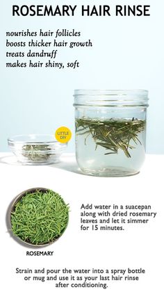 Rosemary Hair, Thick Hair Growth, Hormonal Balance, Rosemary Leaves, Hair Rinse, How To Dry Rosemary, Diy Hair Care, Hydrate Hair, Hair Solutions