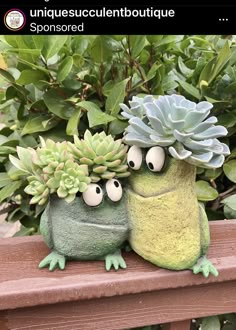 two green plants sitting on top of a wooden bench next to each other with googly eyes