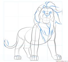 how to draw a lion step by step