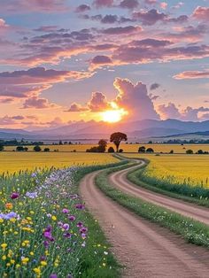 a dirt road going through a field with flowers in the foreground