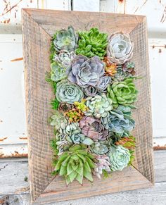 a wooden frame with succulents on it