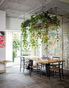 a dining room with plants hanging from the ceiling