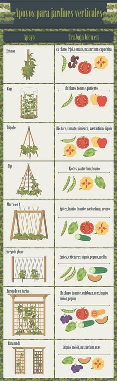 an illustrated poster showing the different types of vegetables and how to use them for gardening