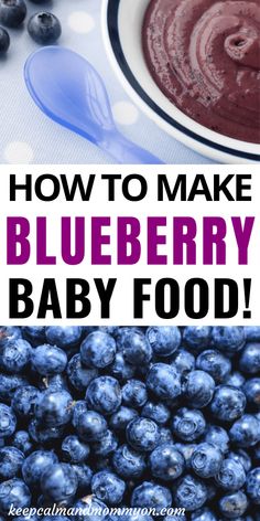 blueberry baby food with the words how to make blueberry baby food on it