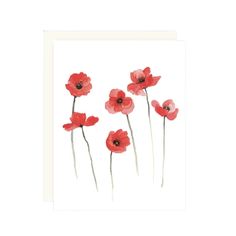 four red flowers on a white background with the words,'poppies in bloom '