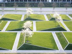 an aerial view of a grassy area with trees in the center and buildings in the background